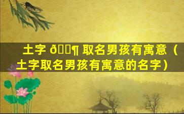 土字 🐶 取名男孩有寓意（土字取名男孩有寓意的名字）